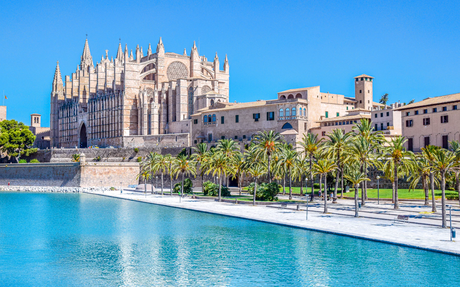 Festa de l'Estendard 2026, Palma