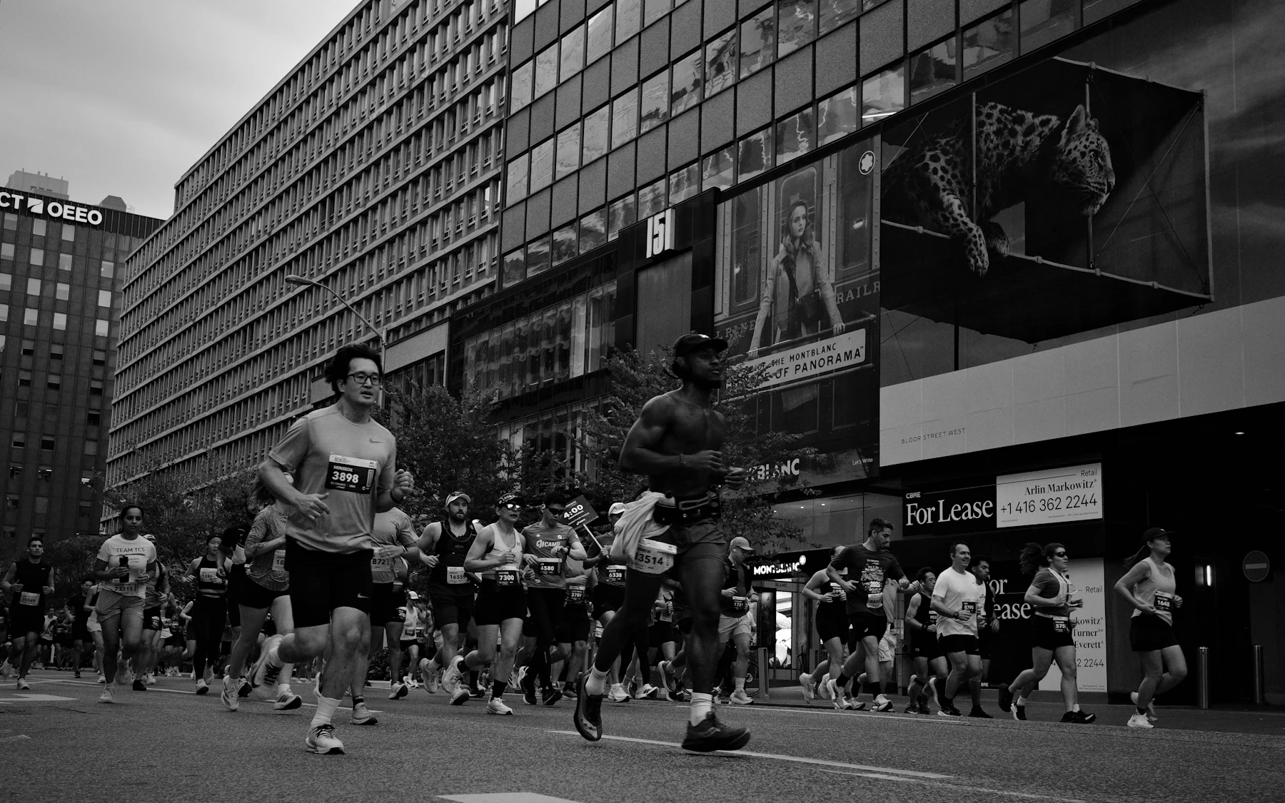 TCS Amsterdam Marathon 2026